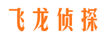 金湖调查公司